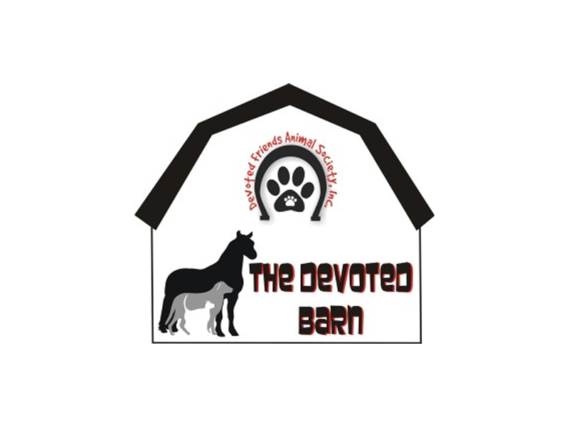 Casual for a Cause: The Devoted Barn